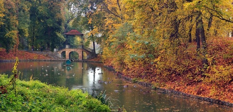 Куди поїхати восени в Україні - парк Олександрія